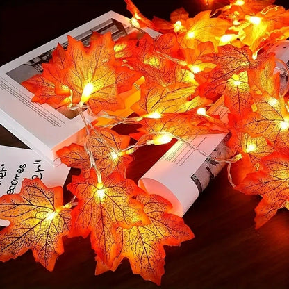 Maple Leaf Lights